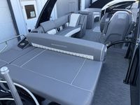 Gallery Image 19